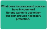 Pet Insurance Comparison Nz