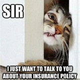 Pet Insurance Companies Ireland